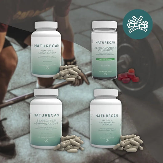 筋肉あるあるスペシャルコラボセット【海外発送】