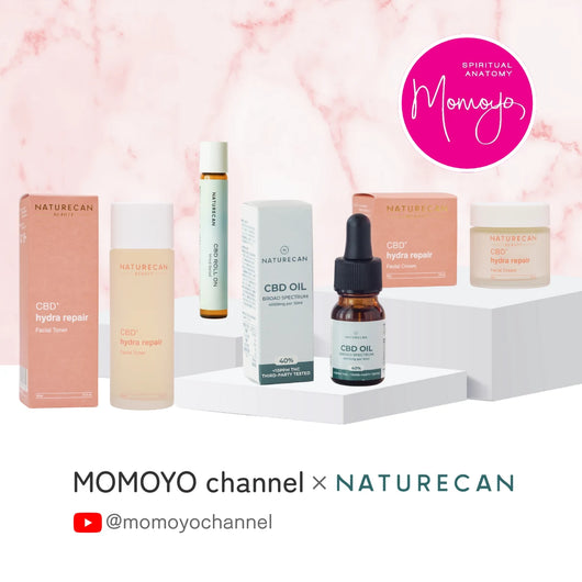 MOMOYO channel コラボセット