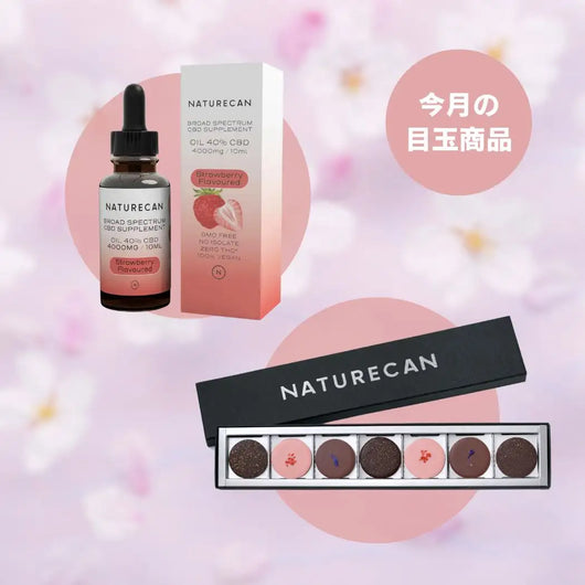 CBDチョコレート × 40%CBDオイルセット