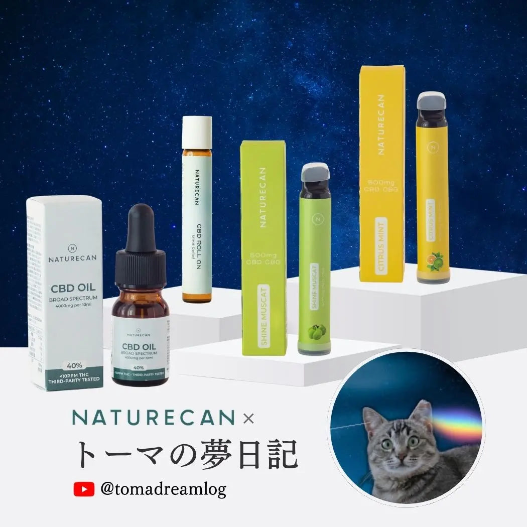 トーマの夢日記コラボセット