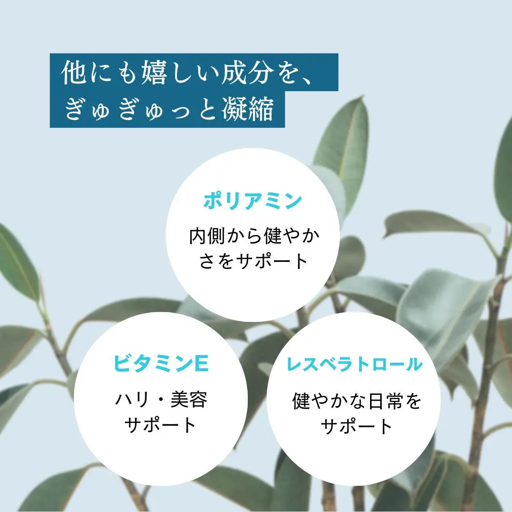 ロンジェビティ トータルケアセット