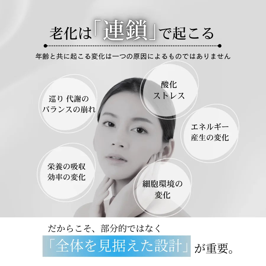 Longevity（ロンジェビティ）