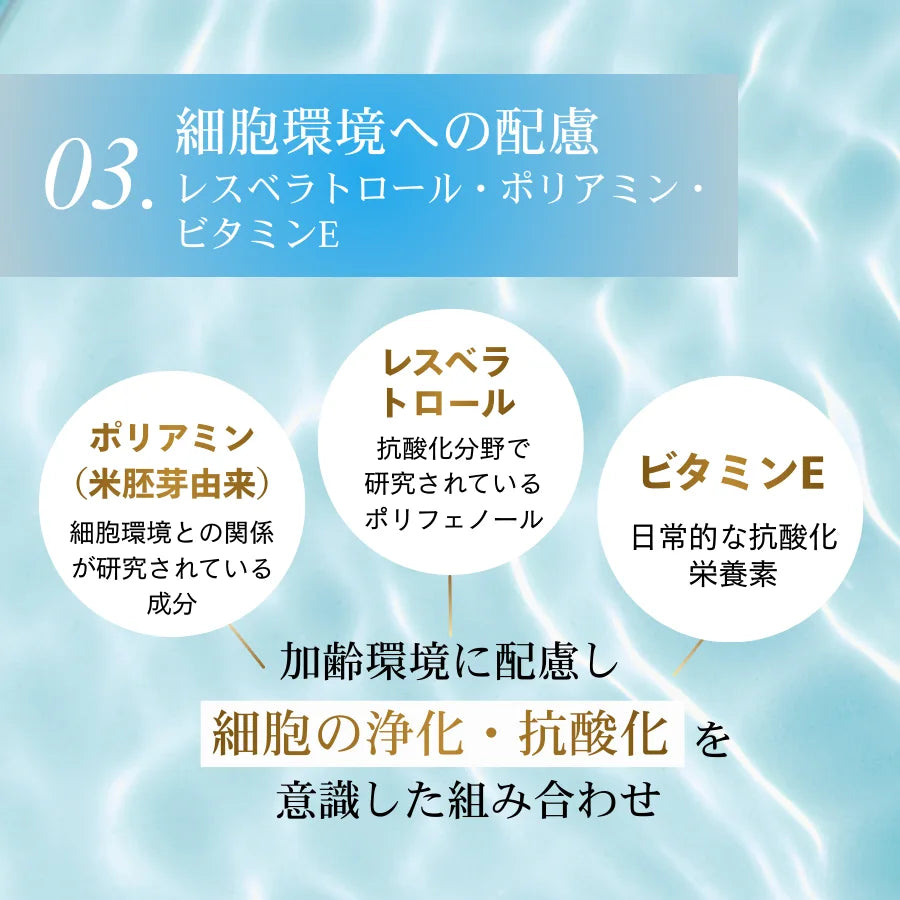 Longevity（ロンジェビティ）