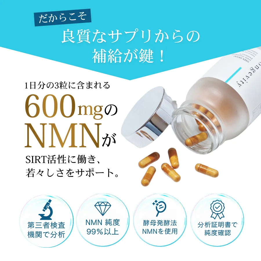 Longevity（ロンジェビティ）