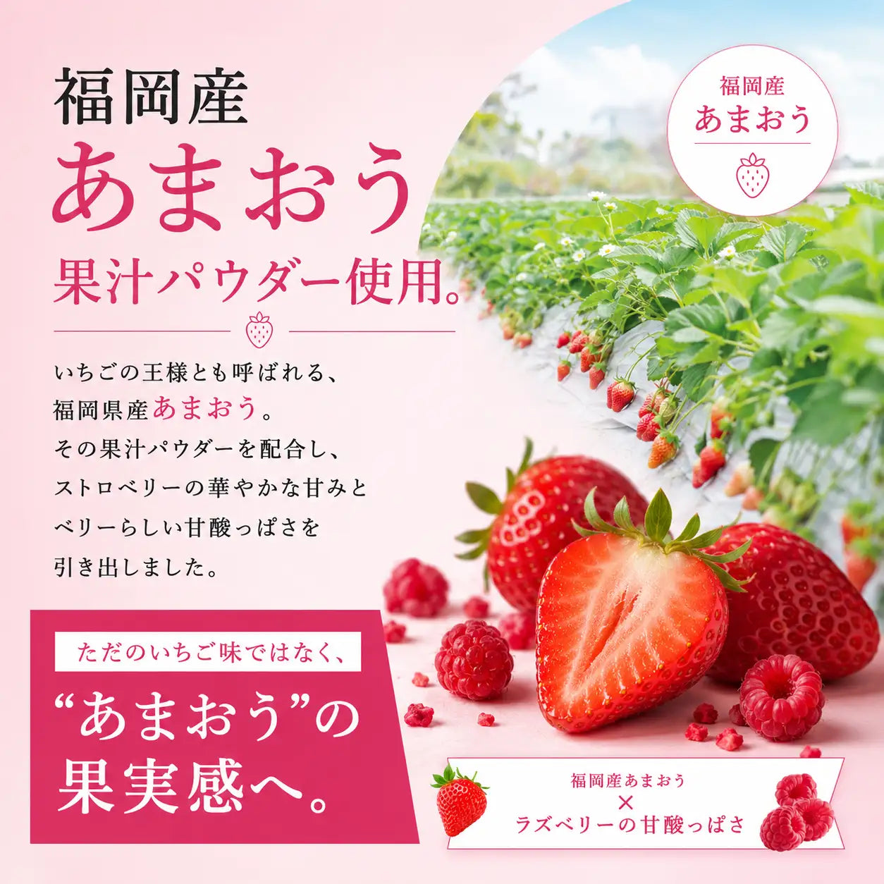 【期間限定】ホエイプロテイン（WPC）ストロベリーラズベリー