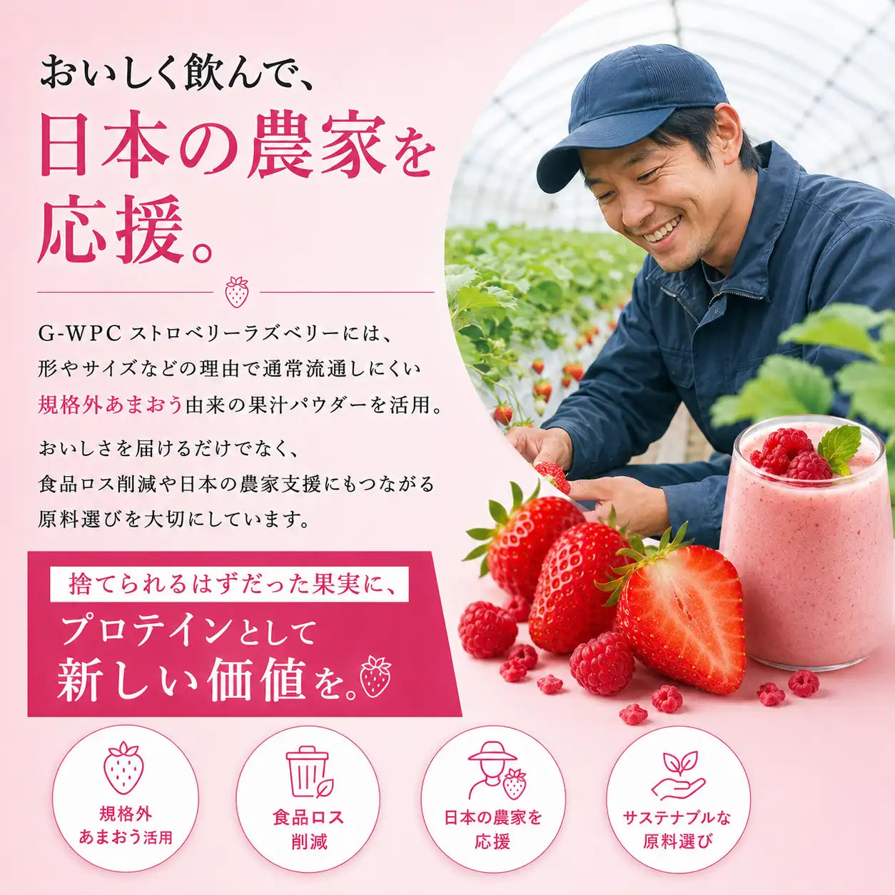 【期間限定】ホエイプロテイン（WPC）ストロベリーラズベリー