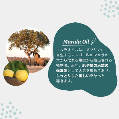 ちゃお スペシャルセット