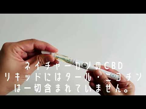 ベイプペンキット