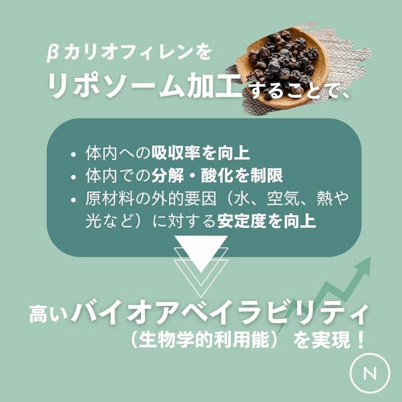 ロディオラロゼア × β-カリオフィレン Naturecan JP Shop 
